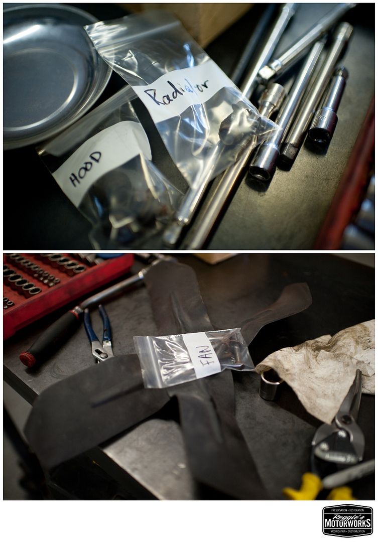 Reggies MotorWorks | Repairing BMW, Audi, Mercedes