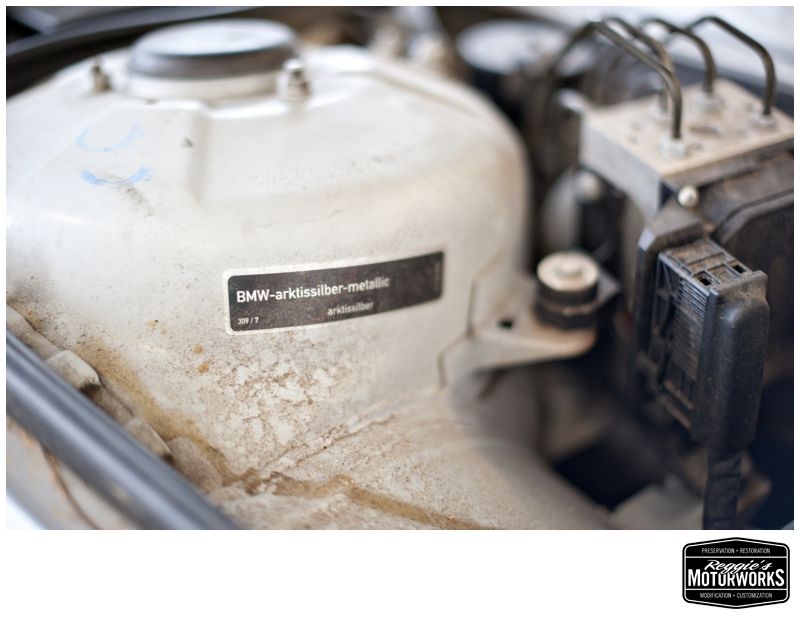 Reggies MotorWorks | Repairing BMW, Audi, Mercedes