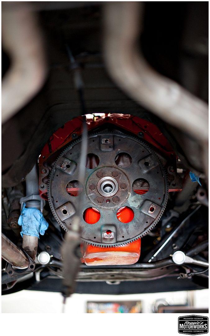 Reggies MotorWorks | Repairing BMW, Audi, Mercedes