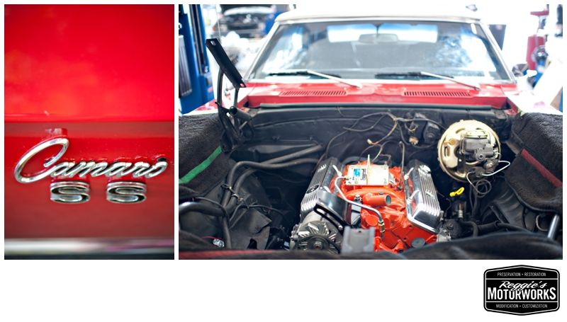 Reggies MotorWorks | Repairing BMW, Audi, Mercedes