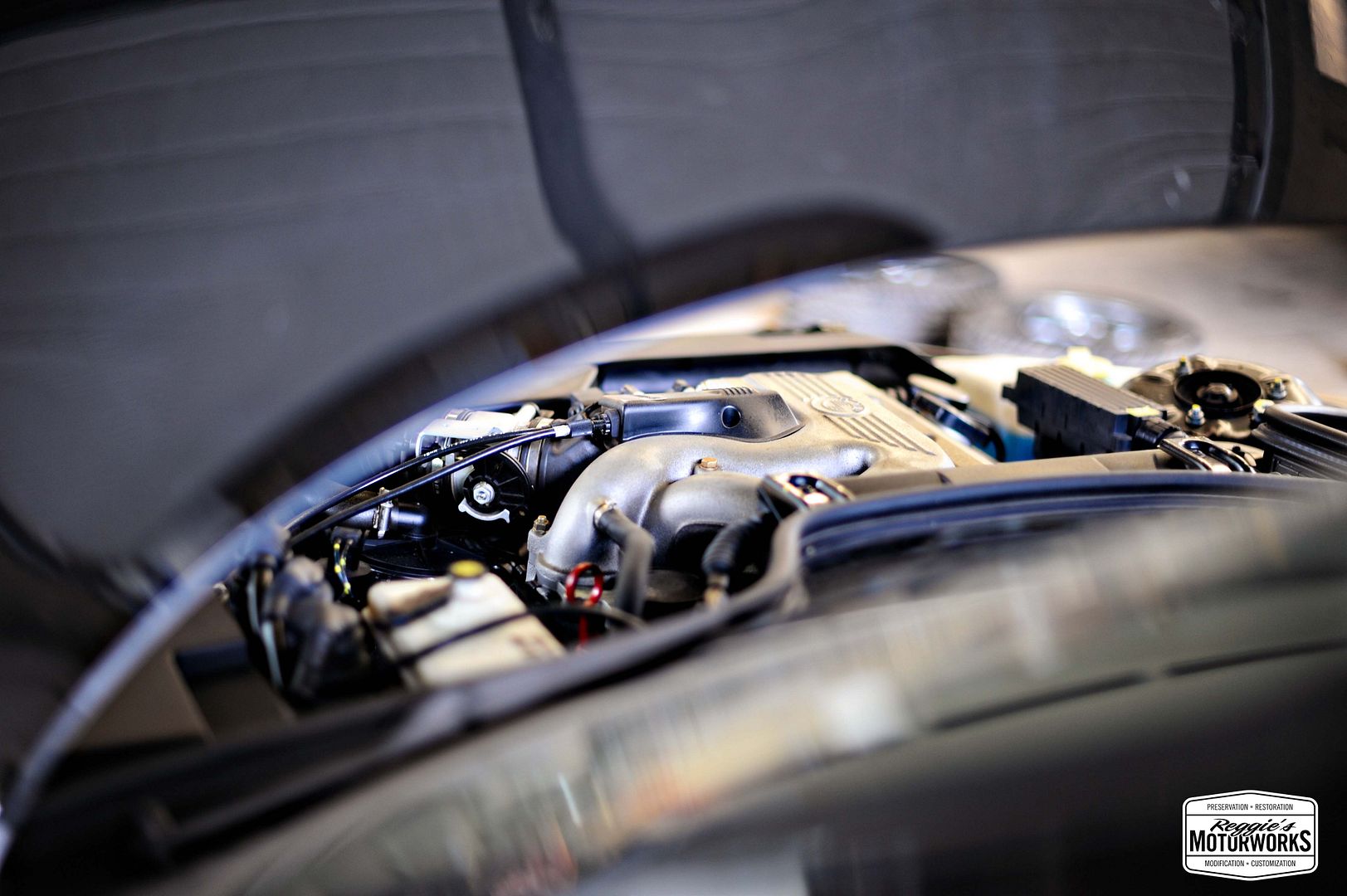 Reggies MotorWorks | Repairing BMW, Audi, Mercedes