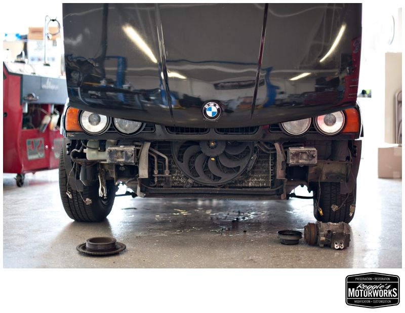 Reggies MotorWorks | Repairing BMW, Audi, Mercedes