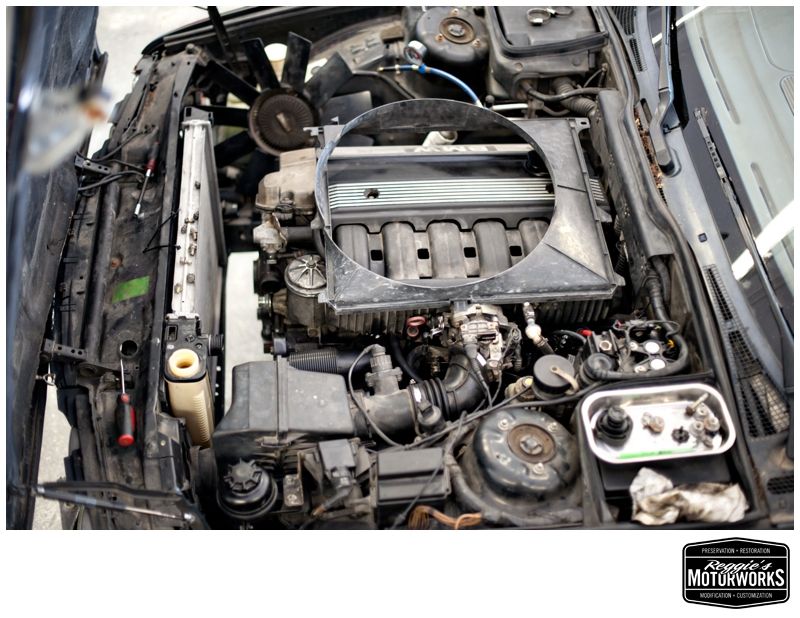 Reggies MotorWorks | Repairing BMW, Audi, Mercedes