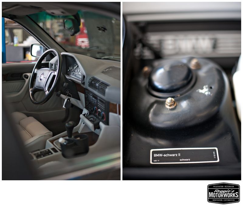 Reggies MotorWorks | Repairing BMW, Audi, Mercedes