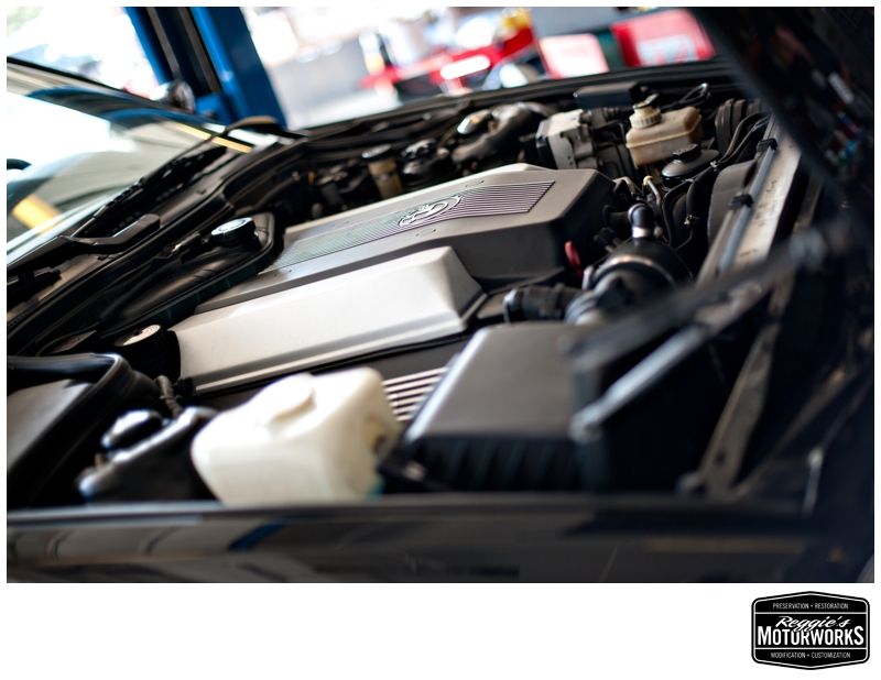 Reggies MotorWorks | Repairing BMW, Audi, Mercedes