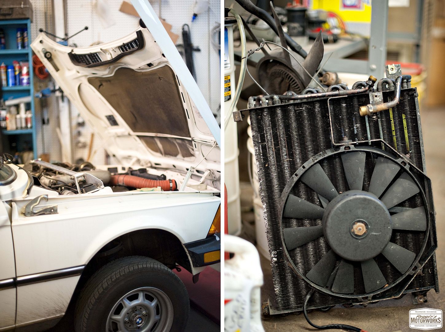 Reggies MotorWorks | Repairing BMW, Audi, Mercedes