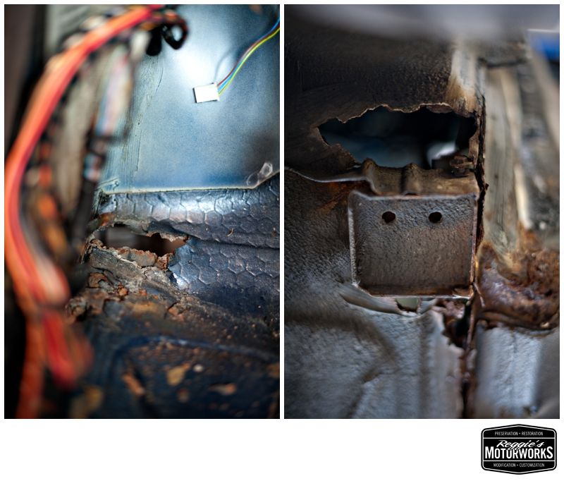 Reggies MotorWorks | Repairing BMW, Audi, Mercedes