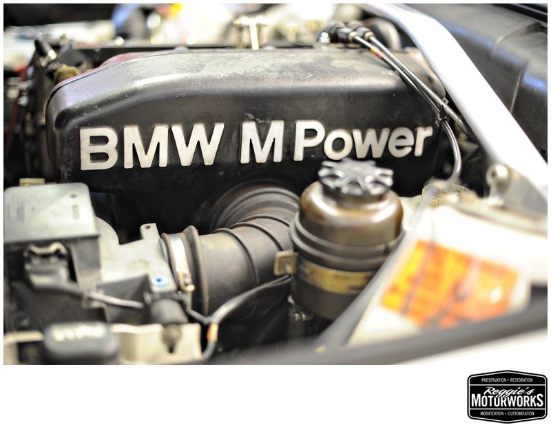 Reggies MotorWorks | Repairing BMW, Audi, Mercedes