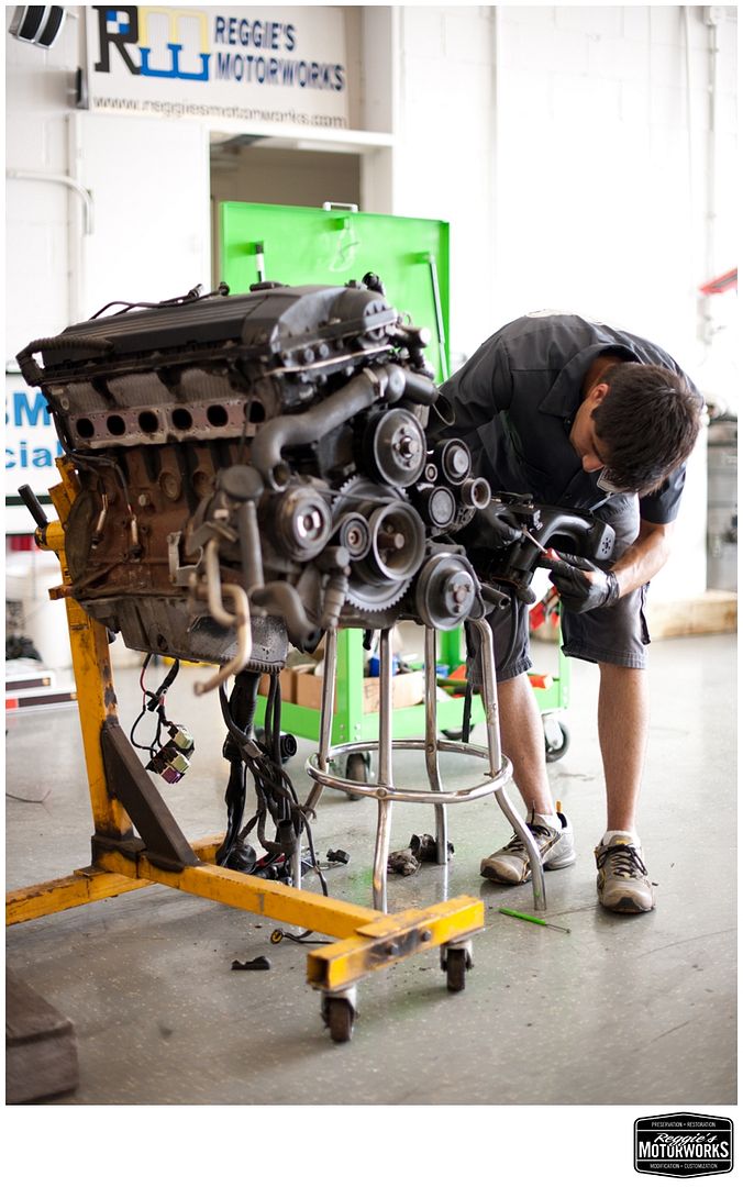 Reggies MotorWorks | Repairing BMW, Audi, Mercedes