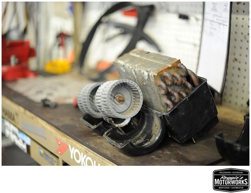 Reggies MotorWorks | Repairing BMW, Audi, Mercedes
