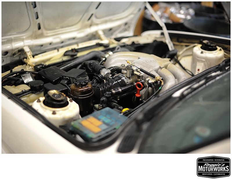 Reggies MotorWorks | Repairing BMW, Audi, Mercedes