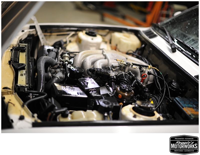 Reggies MotorWorks | Repairing BMW, Audi, Mercedes