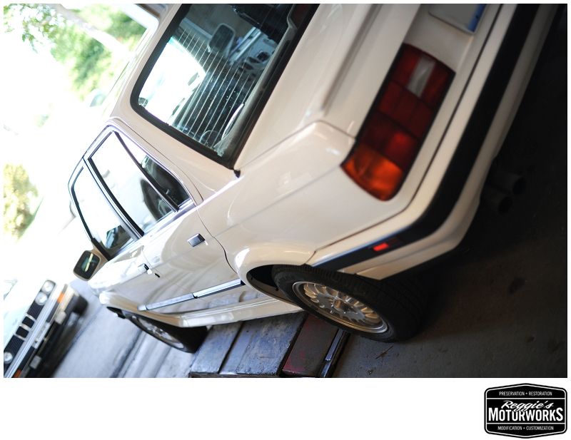 Reggies MotorWorks | Repairing BMW, Audi, Mercedes