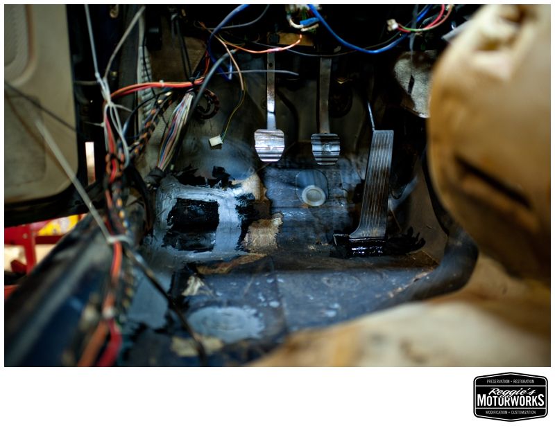 Reggies MotorWorks | Repairing BMW, Audi, Mercedes