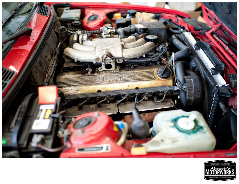 Reggies MotorWorks | Repairing BMW, Audi, Mercedes