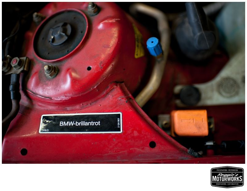Reggies MotorWorks | Repairing BMW, Audi, Mercedes