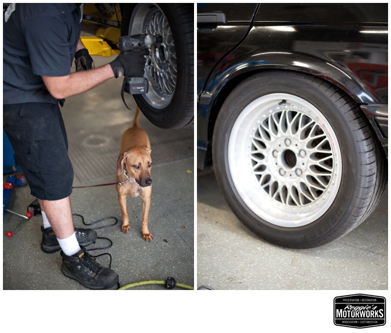 Reggies MotorWorks | Repairing BMW, Audi, Mercedes