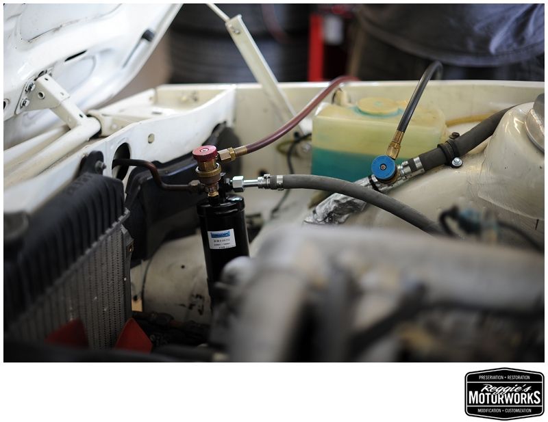 Reggies MotorWorks | Repairing BMW, Audi, Mercedes