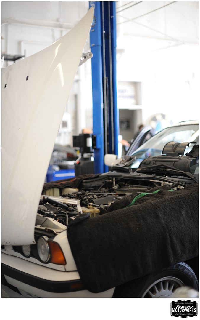 Reggies MotorWorks | Repairing BMW, Audi, Mercedes