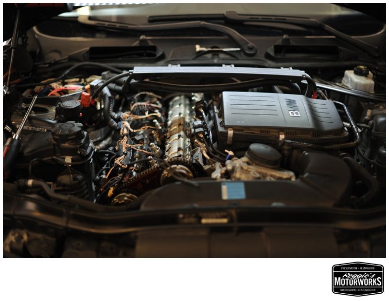 Reggies MotorWorks | Repairing BMW, Audi, Mercedes