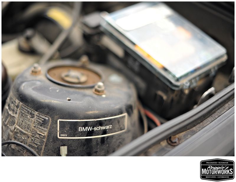 Reggies MotorWorks | Repairing BMW, Audi, Mercedes