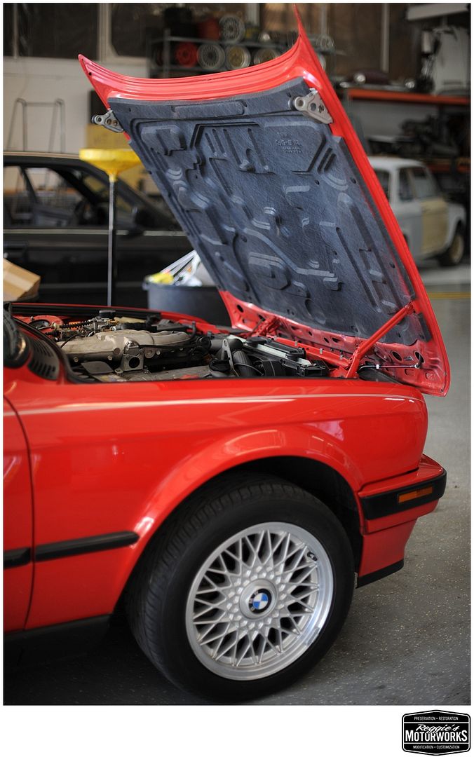 Reggies MotorWorks | Repairing BMW, Audi, Mercedes