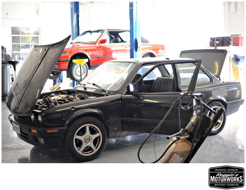 Reggies MotorWorks | Repairing BMW, Audi, Mercedes
