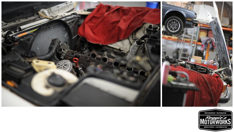Reggies MotorWorks | Repairing BMW, Audi, Mercedes
