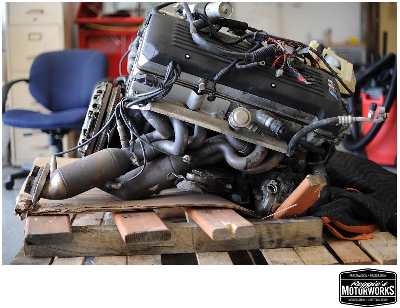 Reggies MotorWorks | Repairing BMW, Audi, Mercedes