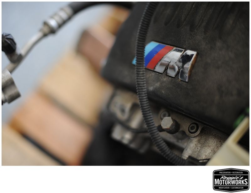 Reggies MotorWorks | Repairing BMW, Audi, Mercedes