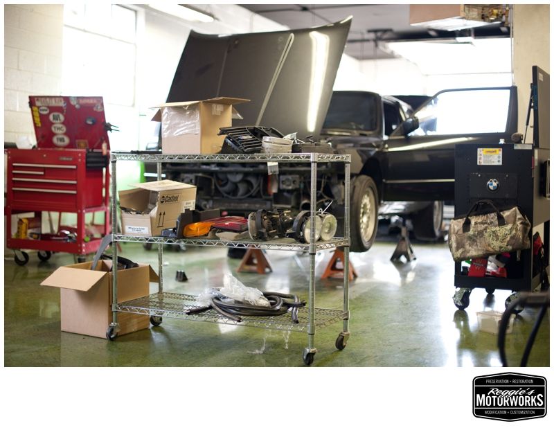 Reggies MotorWorks | Repairing BMW, Audi, Mercedes