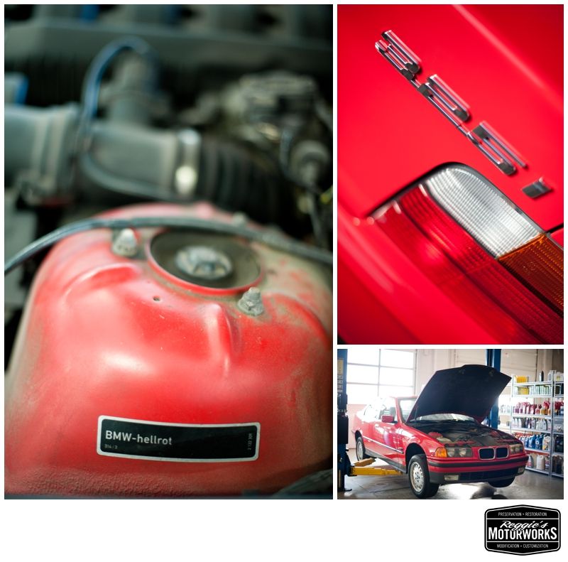 Reggies MotorWorks | Repairing BMW, Audi, Mercedes