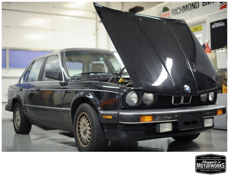Reggies MotorWorks | Repairing BMW, Audi, Mercedes