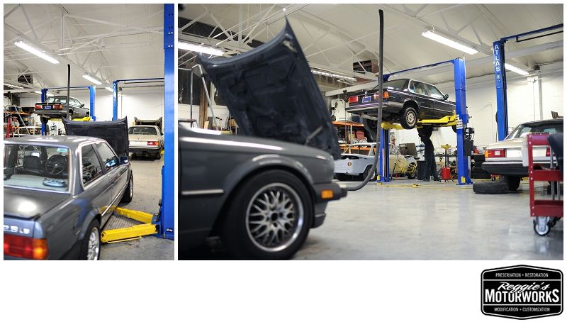 Reggies MotorWorks | Repairing BMW, Audi, Mercedes