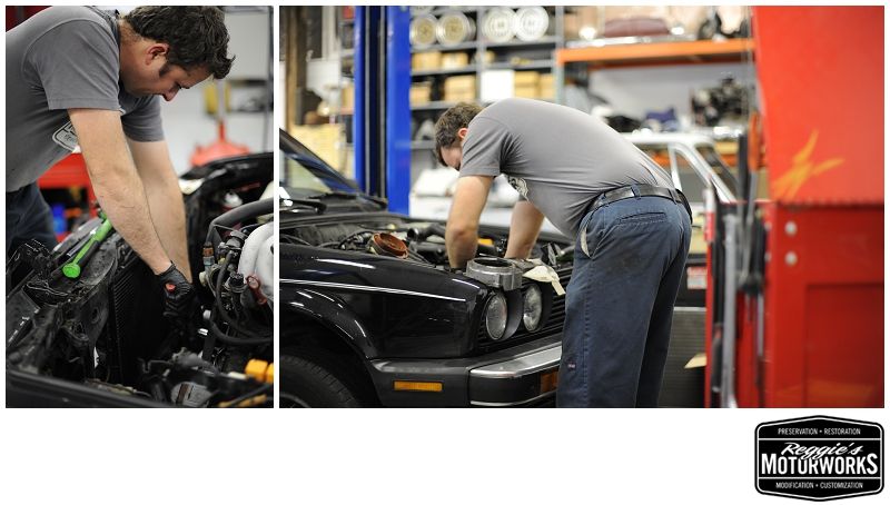 Reggies MotorWorks | Repairing BMW, Audi, Mercedes