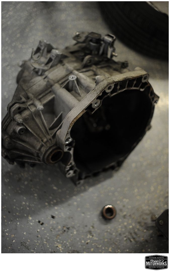 Reggies MotorWorks | Repairing BMW, Audi, Mercedes