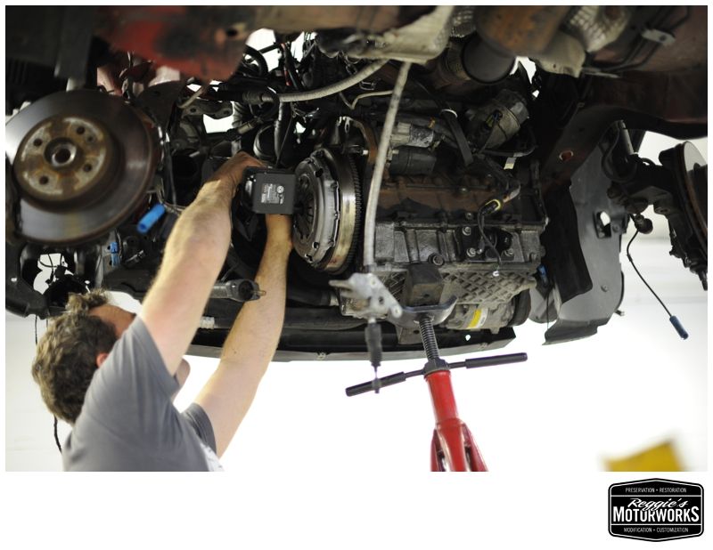 Reggies MotorWorks | Repairing BMW, Audi, Mercedes