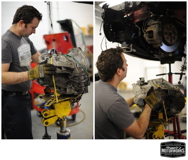 Reggies MotorWorks | Repairing BMW, Audi, Mercedes