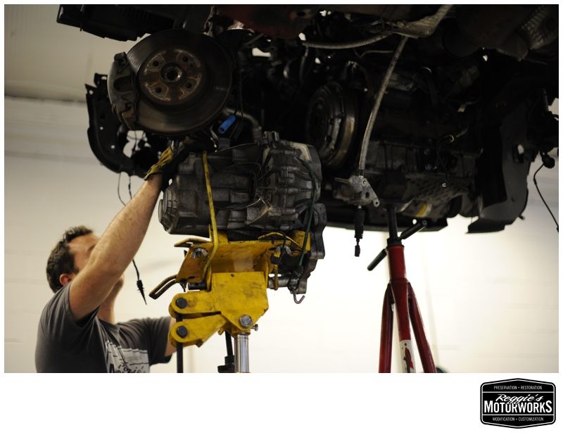 Reggies MotorWorks | Repairing BMW, Audi, Mercedes