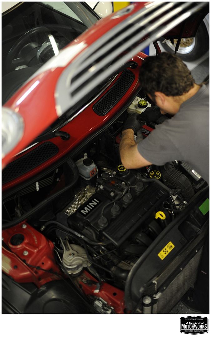 Reggies MotorWorks | Repairing BMW, Audi, Mercedes