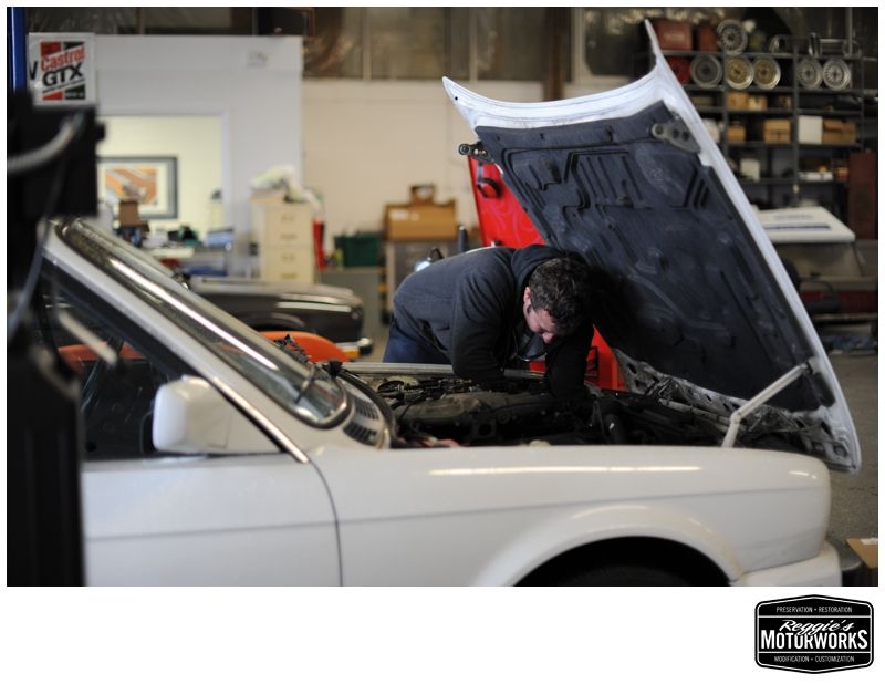 Reggies MotorWorks | Repairing BMW, Audi, Mercedes