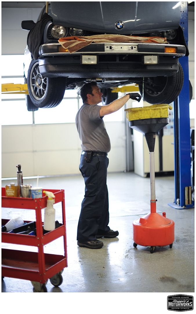 Reggies MotorWorks | Repairing BMW, Audi, Mercedes