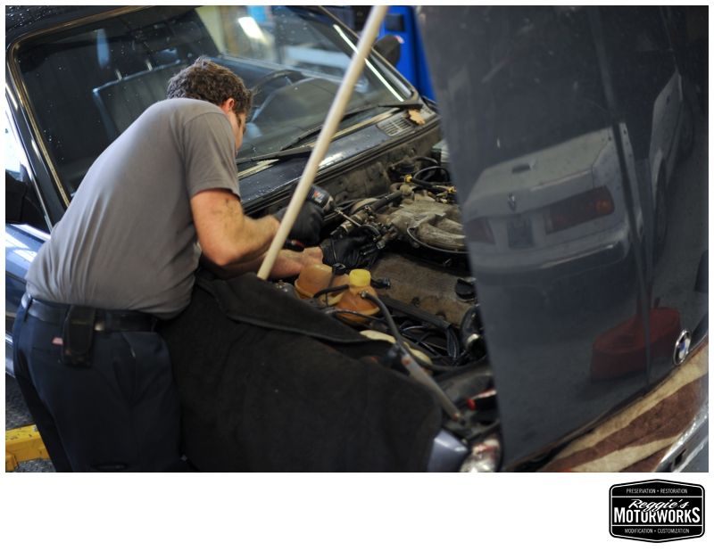 Reggies MotorWorks | Repairing BMW, Audi, Mercedes