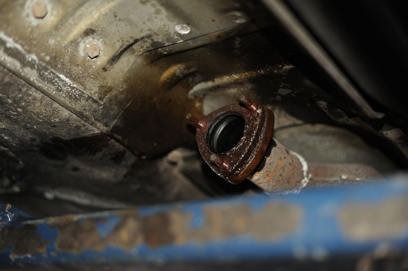 Reggies MotorWorks | Repairing BMW, Audi, Mercedes