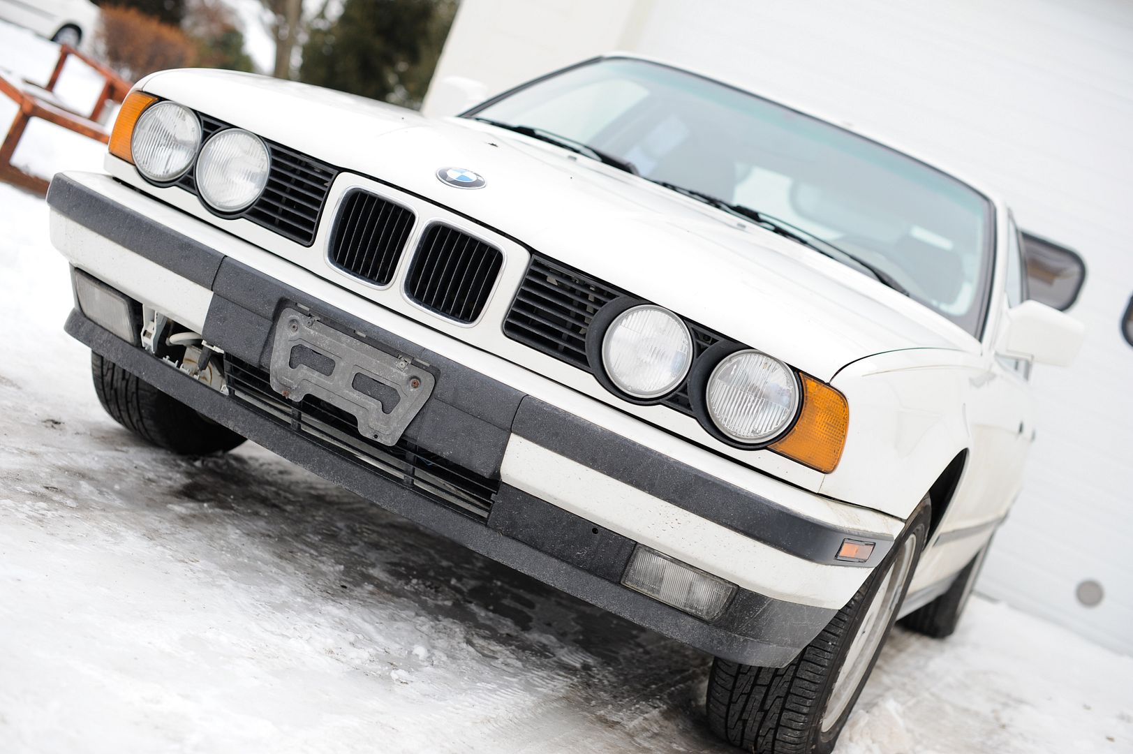 Reggies MotorWorks | Repairing BMW, Audi, Mercedes