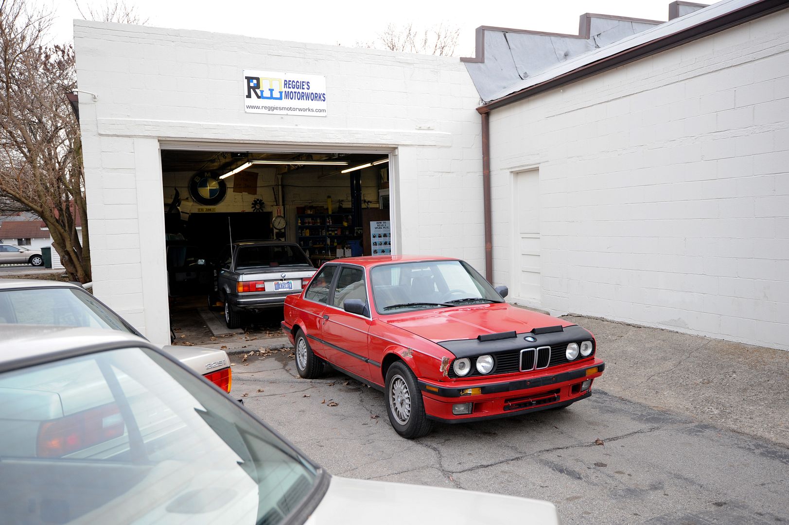 Reggies MotorWorks | Repairing BMW, Audi, Mercedes