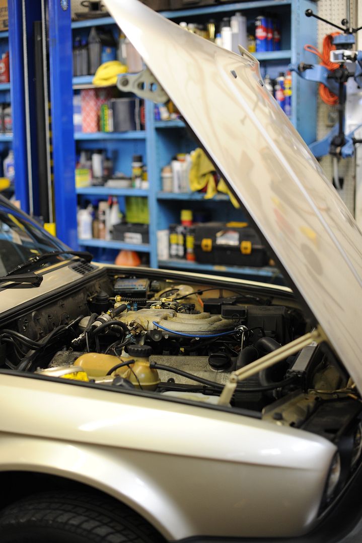Reggies MotorWorks | Repairing BMW, Audi, Mercedes