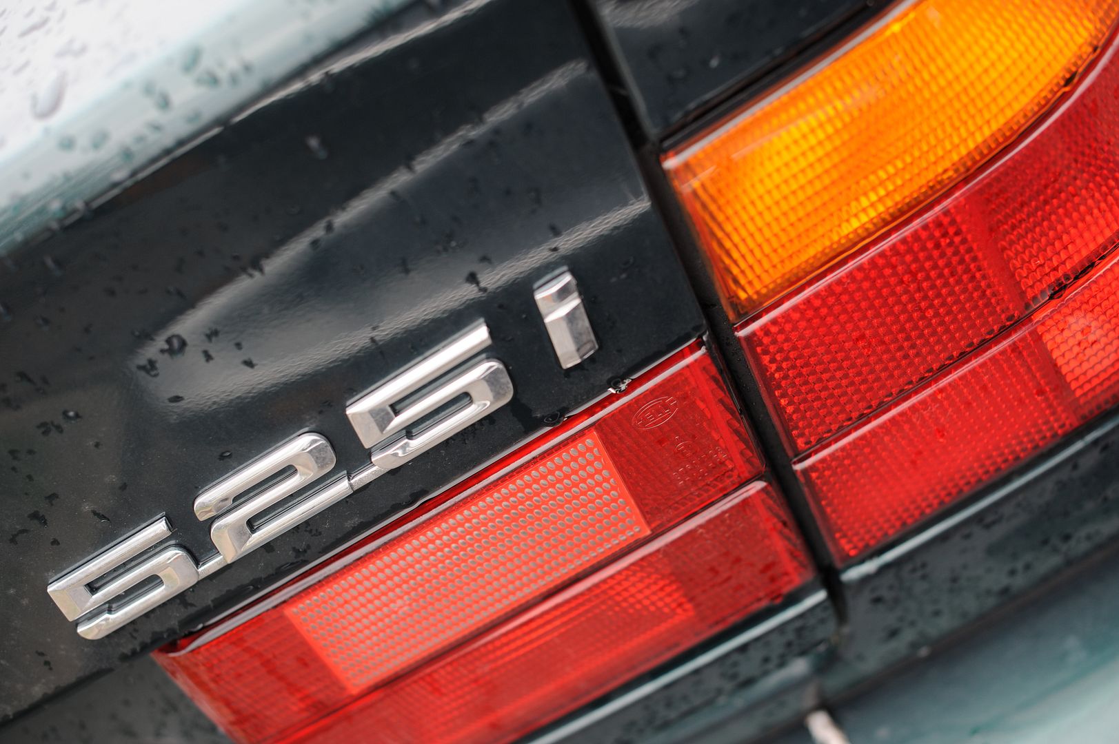 Reggies MotorWorks | Repairing BMW, Audi, Mercedes
