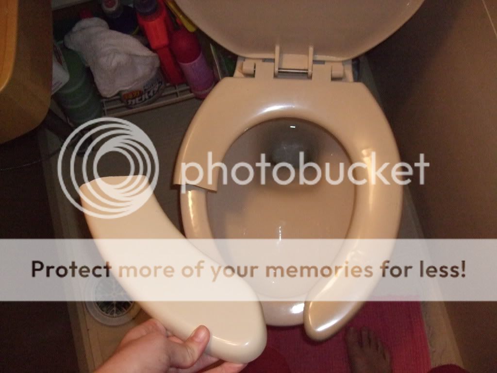 November update Broken toilet seat Something Witty Goes Here