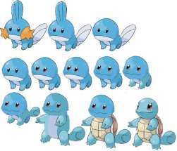 The squirtle fanclub!